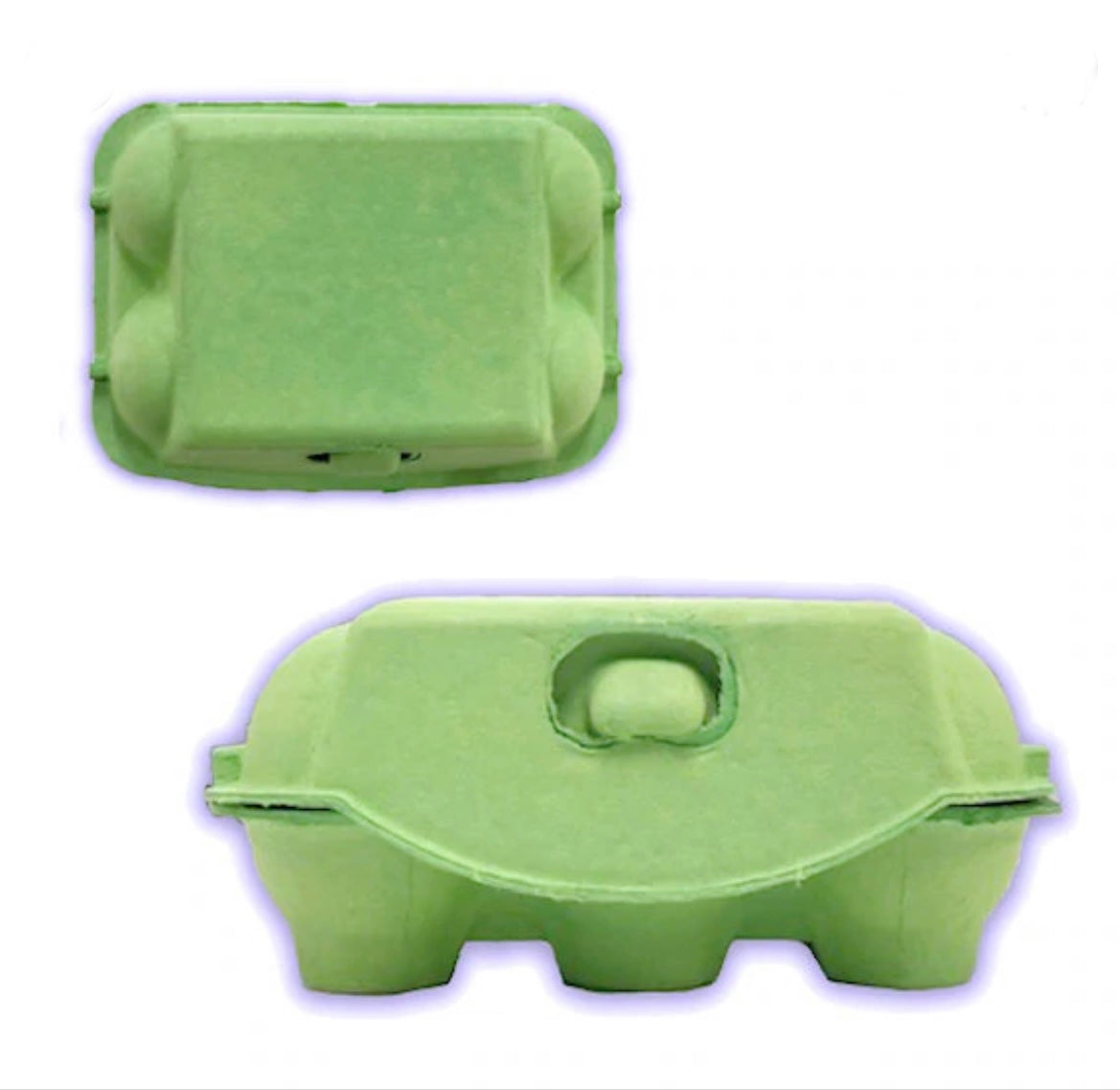 Egg Carton