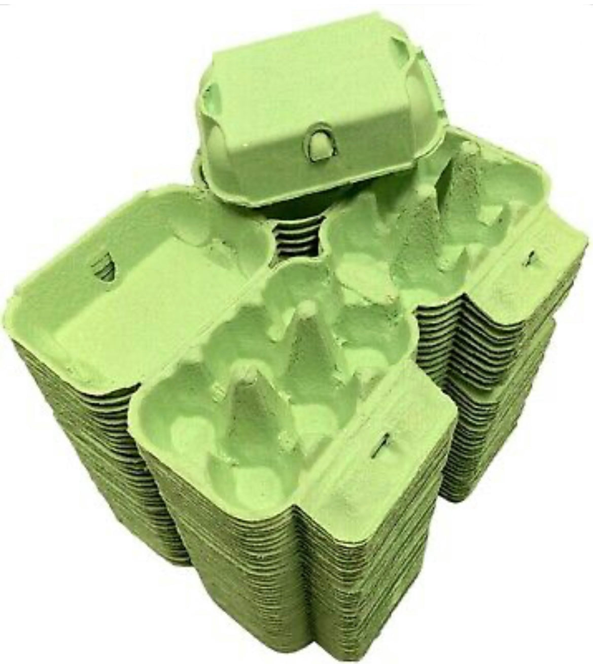 Egg Carton