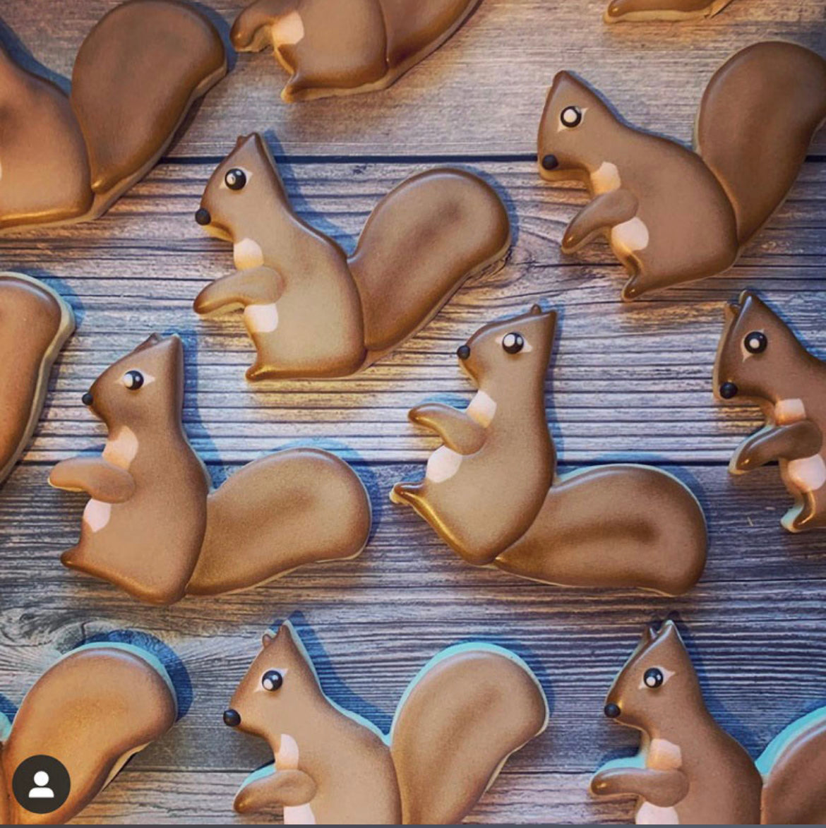 Cookie Cutter Squirrel