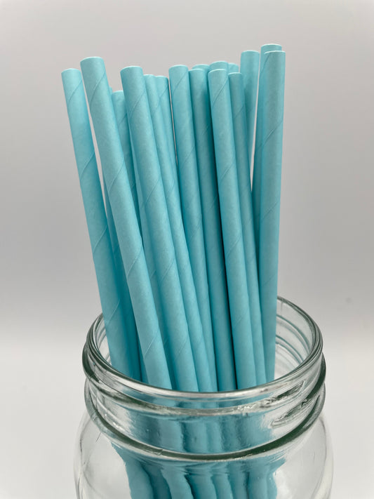 Paper Straw Baby Blue