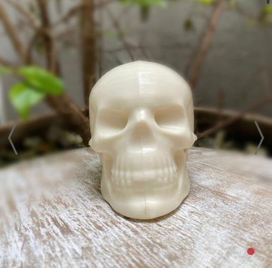 BWB 3 Piece Skull Mold Small